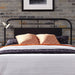 Vintage Series King Metal Bed in Black - Furniture House (VA)