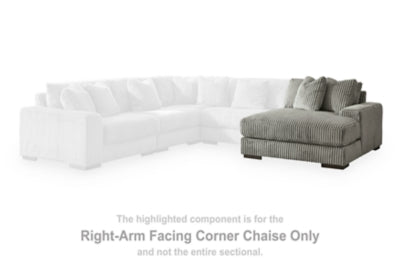 Lindyn Sectional with Chaise - Furniture House (VA)