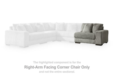 Lindyn Sectional with Chaise - Furniture House (VA)