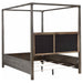 Gran Park Canopy Panel Bed - Furniture House (VA)
