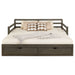 Sorrento Extension Daybed with Drawers - Furniture House (VA)