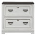 Allyson Park Bunching Lateral File Cabinet in Wirebrushed White - Furniture House (VA)
