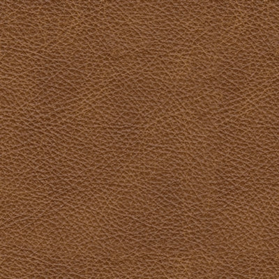 Carianna Sofa - Furniture House (VA)