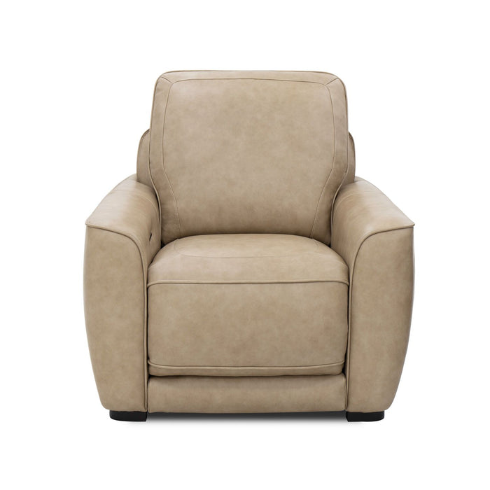 Blake Recliner P2 & ZW - Furniture House (VA)