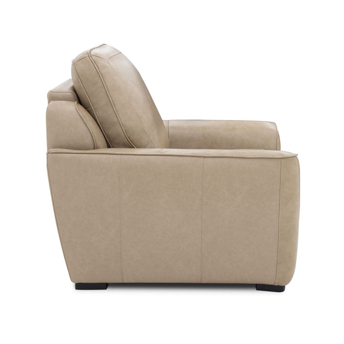 Blake Recliner P2 & ZW - Furniture House (VA)