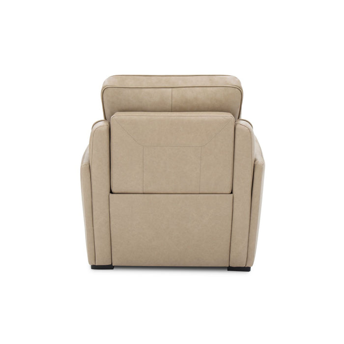 Blake Recliner P2 & ZW - Furniture House (VA)