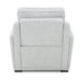 Blake Recliner P2 & ZW - Furniture House (VA)