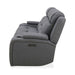 Chapman Sofa P2 & ZG - Furniture House (VA)