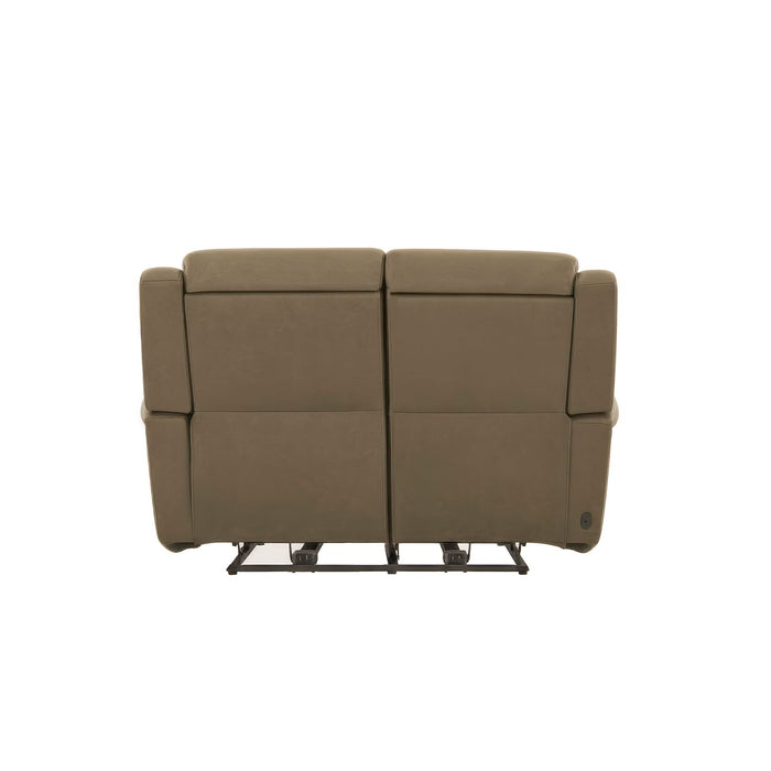 Carlton Loveseat P3 & ZG - Furniture House (VA)