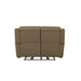 Carlton Loveseat P3 & ZG - Furniture House (VA)