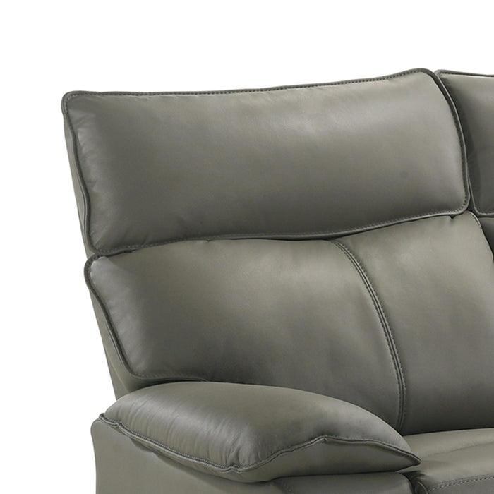 Wildcat Motion Sofa in Aviarah Grey