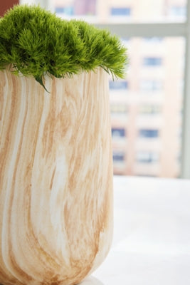 Cammen Vase - Furniture House (VA)