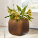 Capard Vase - Furniture House (VA)