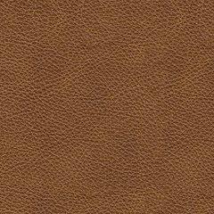 Emilia Living Room Set - Furniture House (VA)