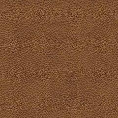 Carianna Ottoman - Furniture House (VA)