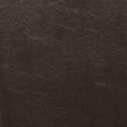 Kimonte Dining Chair Set - Furniture House (VA)