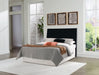 Danziar Bed - Furniture House (VA)