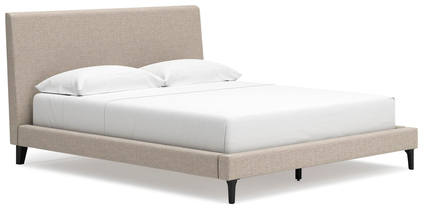 Cielden Upholstered Bed with Roll Slats - Furniture House (VA)