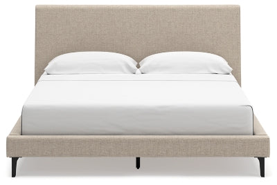 Cielden Upholstered Bed with Roll Slats - Furniture House (VA)