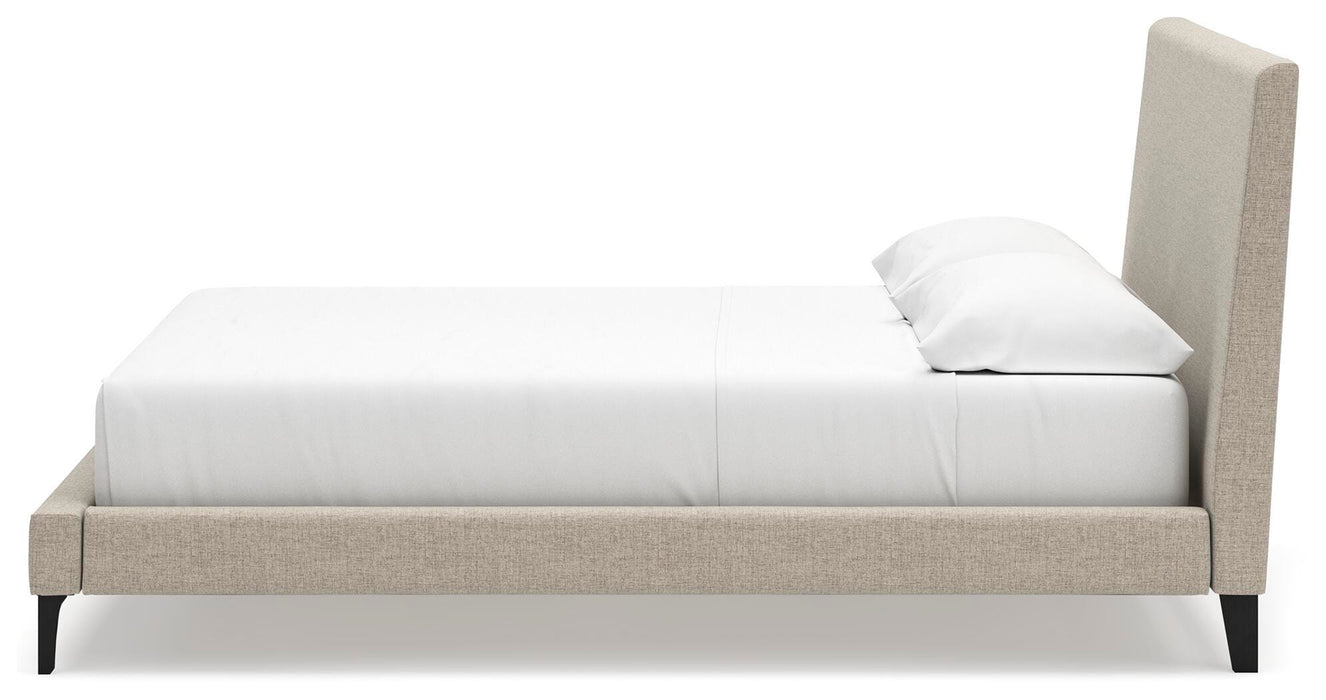 Cielden Upholstered Bed with Roll Slats - Furniture House (VA)