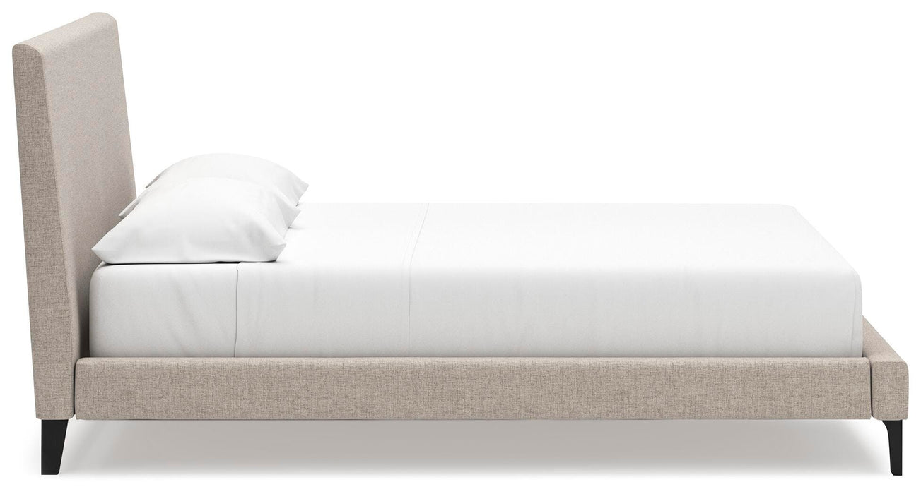 Cielden Upholstered Bed with Roll Slats - Furniture House (VA)