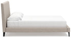 Cielden Upholstered Bed with Roll Slats - Furniture House (VA)