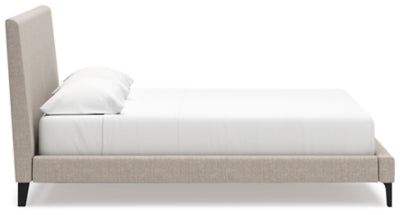 Cielden Upholstered Bed with Roll Slats - Furniture House (VA)