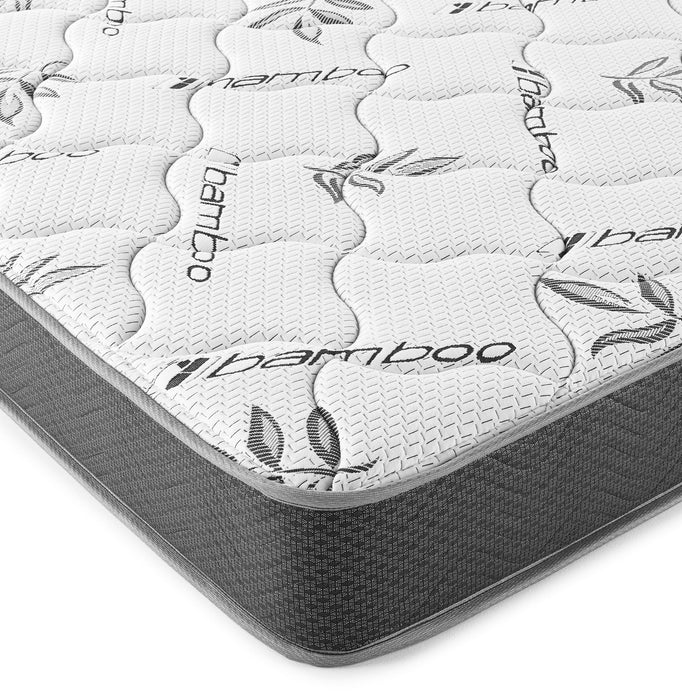 Kenyon Firm Tight Top Foam Mattress - Furniture House (VA)