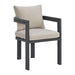Playa Dining Chair - Dark Grey and Olefin Beige (2 Per Carton) - Furniture House (VA)
