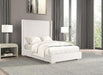 Cadwell E.King, Queen, & Full Bed White, Gray, & Black - Furniture House (VA)