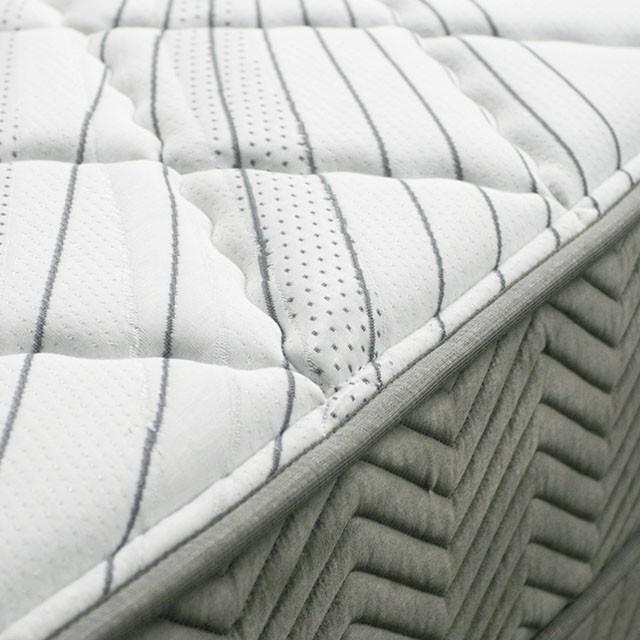EDREA White/Gray 10" Tight Top Pocket Coil, Full - Furniture House (VA)