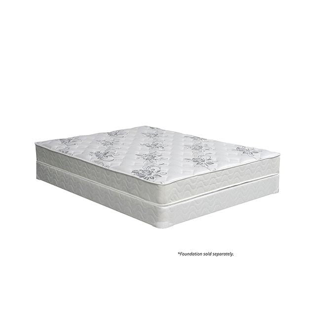 ELBERTYNA White 8" Tight Top Mattress, Full - Furniture House (VA)