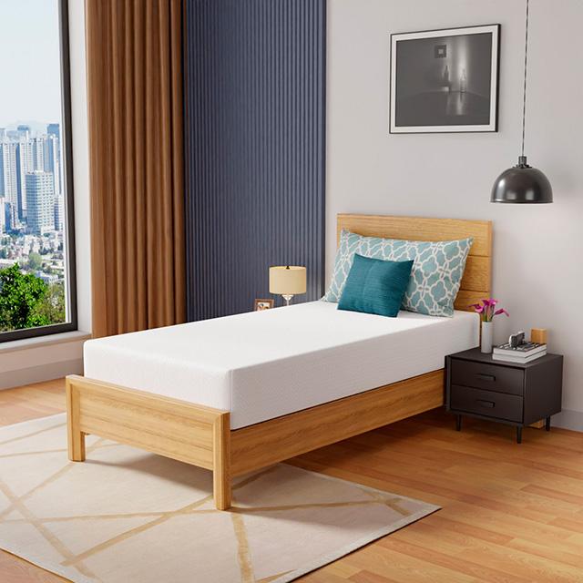 Coreopsis 10" Twin Memory Foam Wave Comfort - Furniture House (VA)