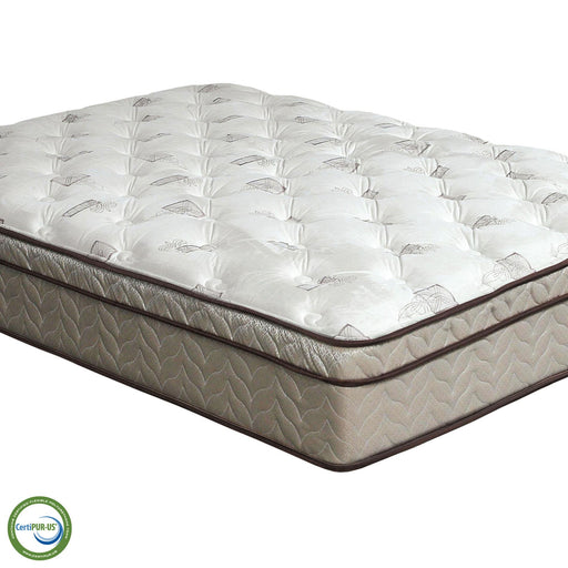 Lilium White/Brown 13" Euro Pillow Top Mattress, Full - Furniture House (VA)