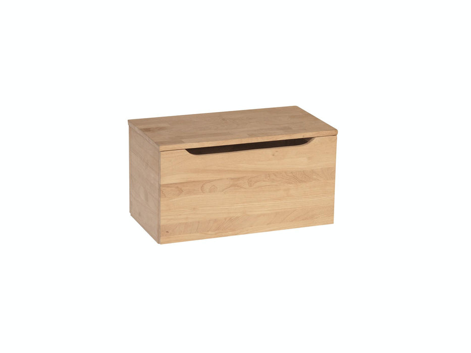 Juvenile 22'' Storage Chest / Toy Chest