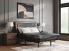 Millennium 2.0 Foam 12 Inch Mattress - Furniture House (VA)