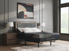 Millennium 2.0 Foam 14 Inch Mattress - Furniture House (VA)