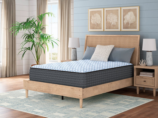 Destin Cove Plush Mattress - Furniture House (VA)
