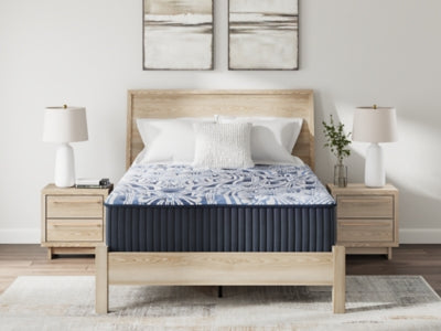 Firm Luxe 2.0 Mattress - Furniture House (VA)