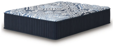 Firm Luxe 2.0 Mattress - Furniture House (VA)