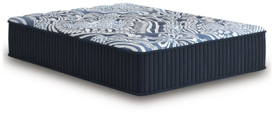 Firm Luxe 2.0 Mattress - Furniture House (VA)