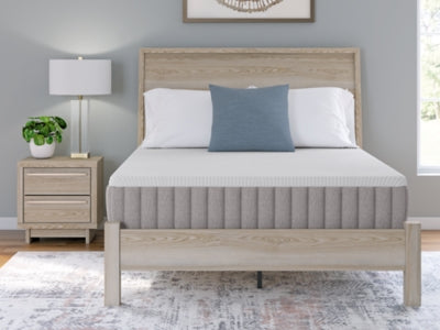 Terra Sleep Firm Mattress - Furniture House (VA)
