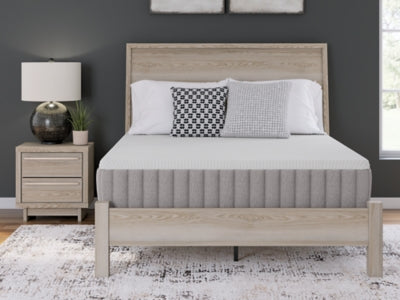 Terra Sleep Medium Mattress - Furniture House (VA)