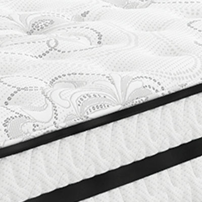 Chime 10 Inch Hybrid Mattress in a Box - Furniture House (VA)