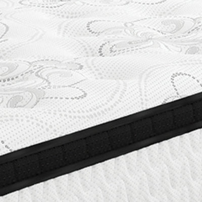 Chime 12 Inch Hybrid Mattress in a Box - Furniture House (VA)