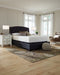 Chime 12 Inch Memory Foam Mattress in a Box - Furniture House (VA)