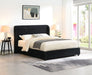 Laverni E.King, Full, & Queen Bed White, Grey, & Black - Furniture House (VA)