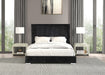 Cadwell E.King, Queen, & Full Bed White, Gray, & Black - Furniture House (VA)