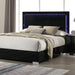Sinistra Queen Bedroom Set - Furniture House (VA)